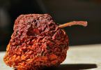 runder Paprika (Capsicum annuum)   /   Schrumpelfeuer