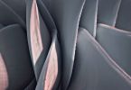 590nm-Agave-3