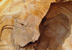 knock-on-wood
