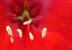 DSC01367_1