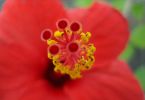 DSC00158_1