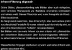 01_Text_IR_allgemein.jpg