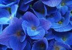 54_DSC01407_1