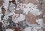 Eis-Teich