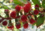 DSC06054_1