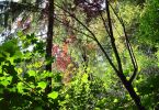 Kunterbunt