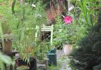 Cosmea'isches Chaos